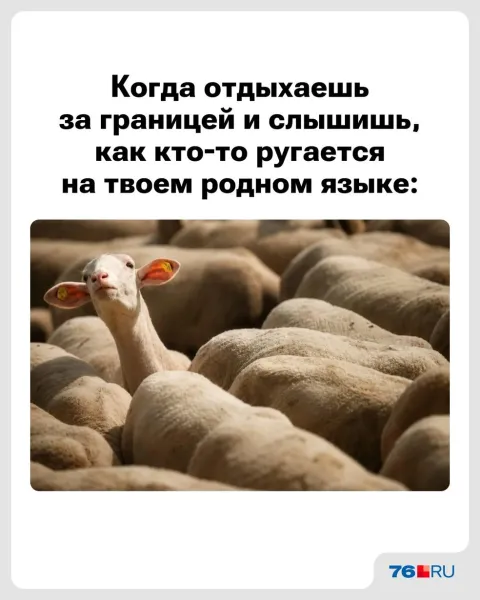 Мем, Леонид Хлыновский Мем, Леонид Хлыновский