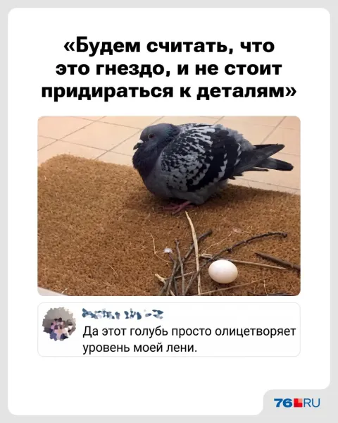 Мем, Леонид Хлыновский Мем, Леонид Хлыновский