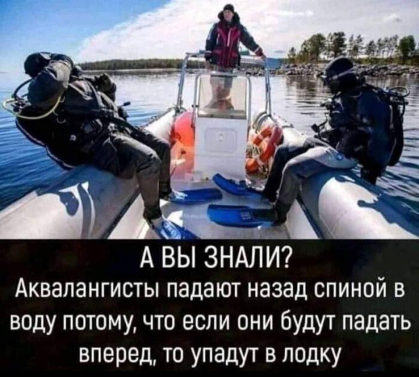 Мем, Ashmedai Мем, Ashmedai