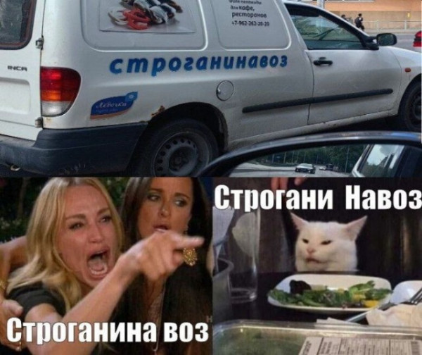 Мем, Антиклептократ Мем, Антиклептократ