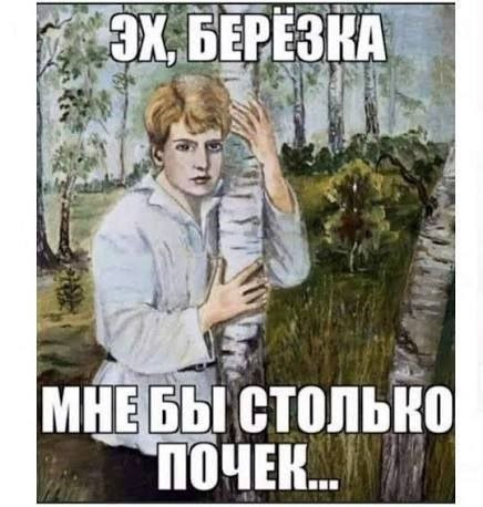 Мем, Антиклептократ Мем, Антиклептократ