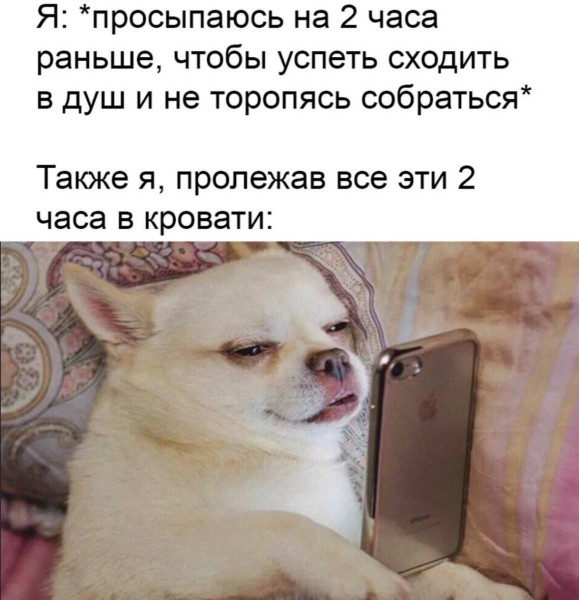 Мем, Антиклептократ Мем, Антиклептократ