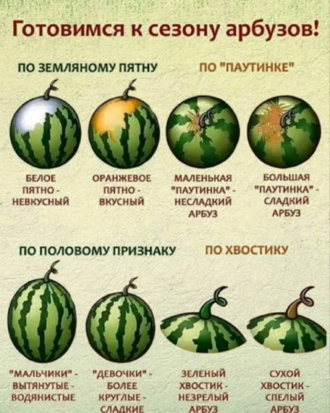 Мем, Hendry Мем, Hendry