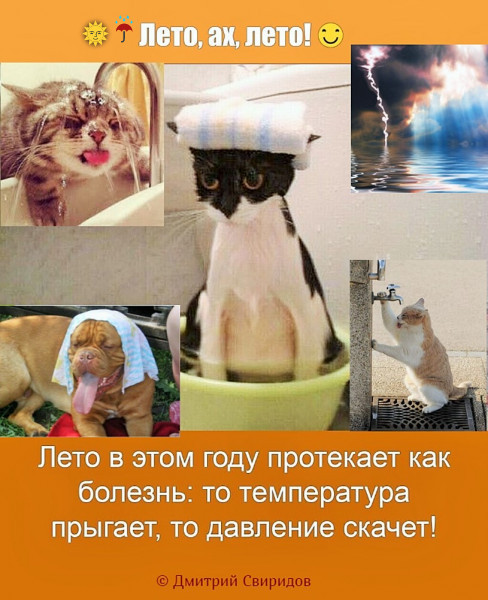 Мем Мем