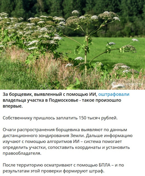 Мем, alexx__ka