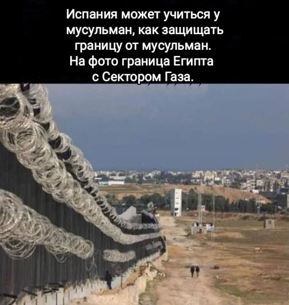 Мем, Рысь Мем, Рысь