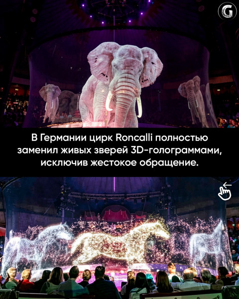 Мем