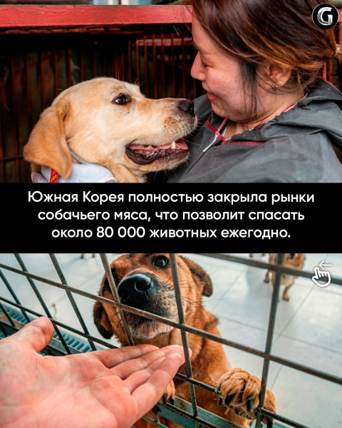 Мем