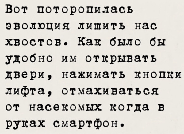 Мем, Антиклептократ Мем, Антиклептократ