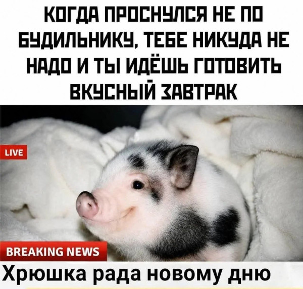 Мем, Ashmedai Мем, Ashmedai