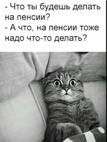 Мем, Антиклептократ Мем, Антиклептократ