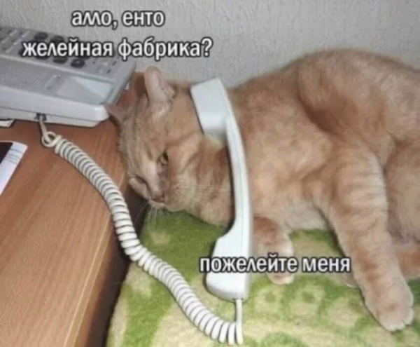 Мем, Антиклептократ Мем, Антиклептократ