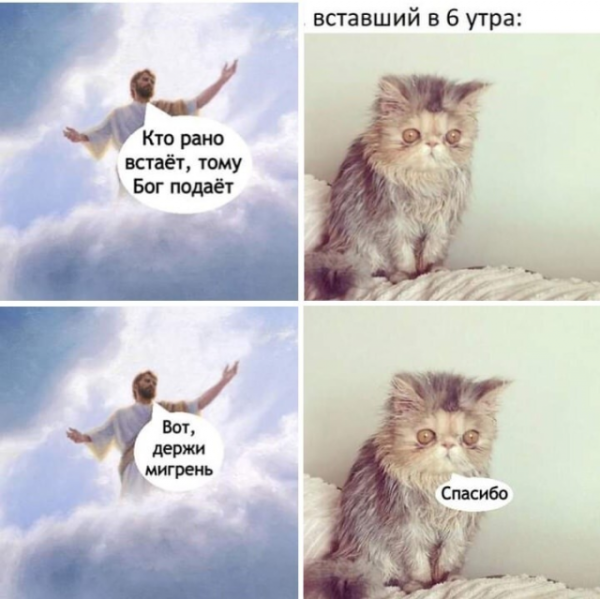 Мем, Антиклептократ Мем, Антиклептократ