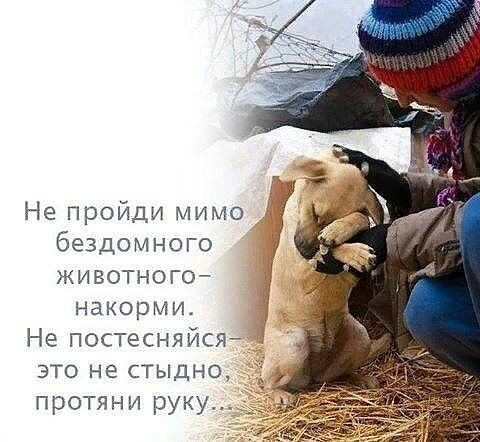 Мем, Алекс Гудков Мем, Алекс Гудков