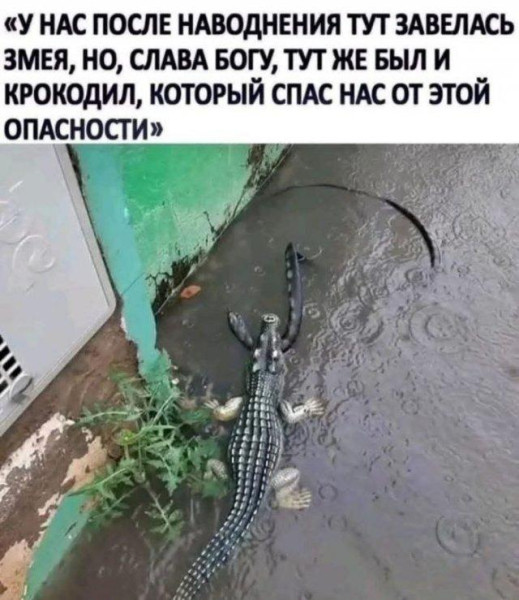 Мем, Антиклептократ Мем, Антиклептократ