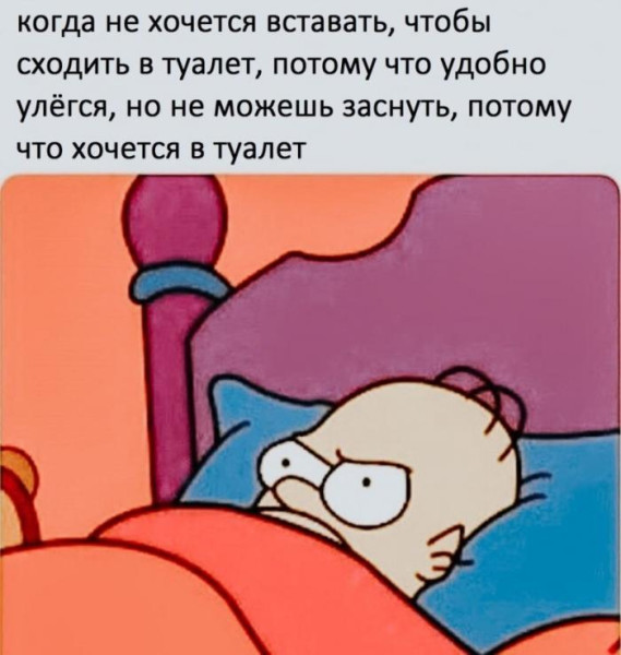 Мем, Антиклептократ Мем, Антиклептократ