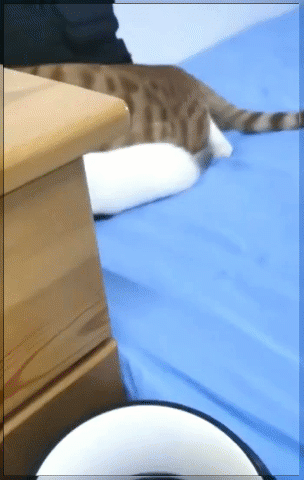 Мем, Серж Скоров