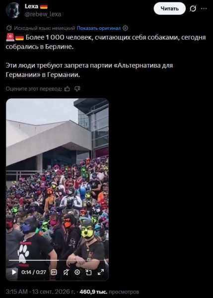 Мем, Максим Камерер