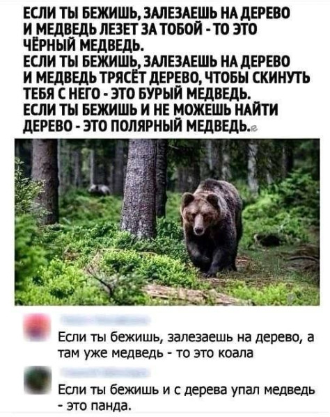 Мем, Ashmedai Мем, Ashmedai