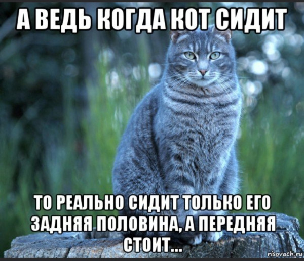 Мем, Вовочка059 Мем, Вовочка059