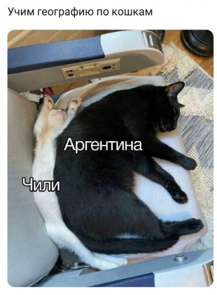 Мем, Mghost Мем, Mghost