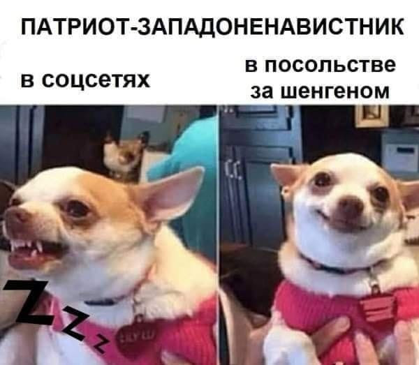 Мем, Diogenes