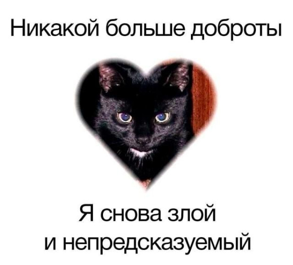 Мем, Bassplayer Мем, Bassplayer