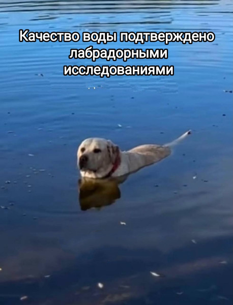 Мем, Рысь Мем, Рысь