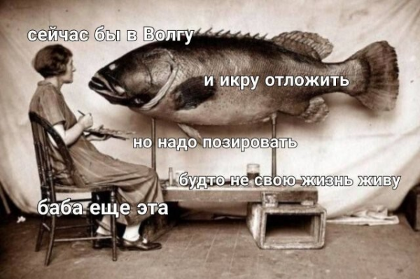 Мем, Bassplayer Мем, Bassplayer