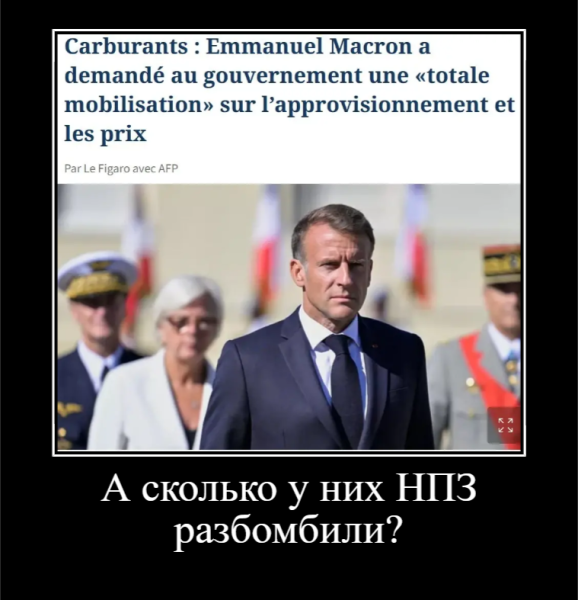Мем, Правдоруб Адекват Мем, Правдоруб Адекват