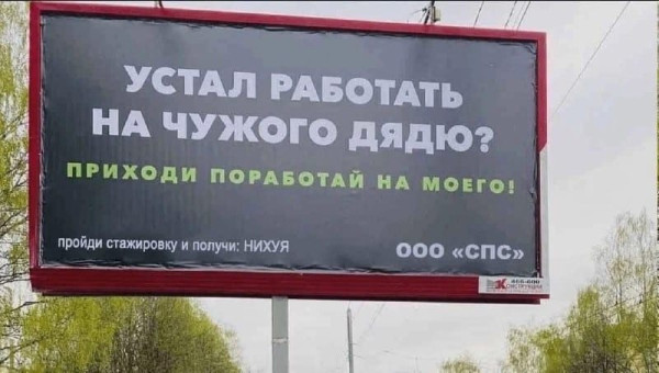 Мем, Diogenes
