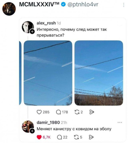 Мем, Bassplayer
