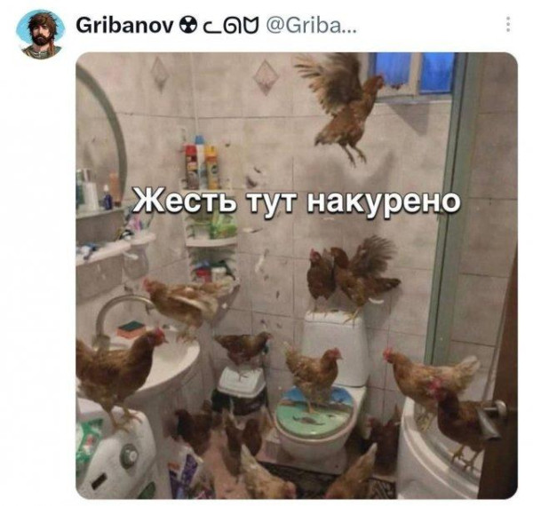 Мем, Bassplayer