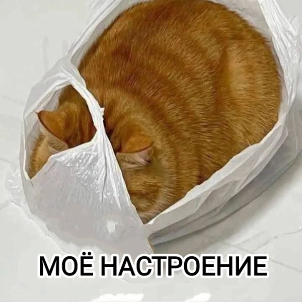 Мем, Рысь