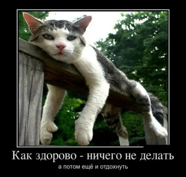 Мем, Антиклептократ