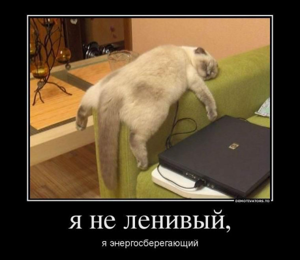 Мем, Антиклептократ Мем, Антиклептократ