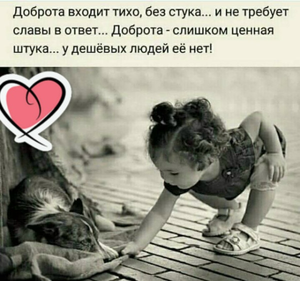 Мем, Алекс Гудков Мем, Алекс Гудков