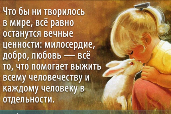 Мем, Алекс Гудков