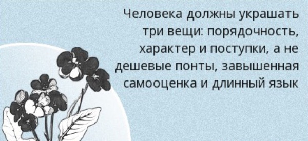 Мем, Алекс Гудков