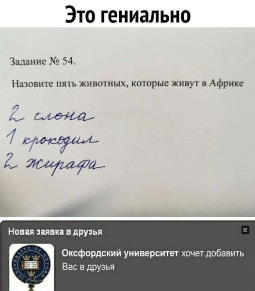 Мем, Bassplayer Мем, Bassplayer