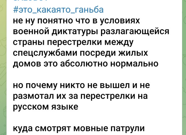 Мем, Максим Камерер