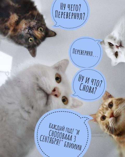 Мем, Антиклептократ