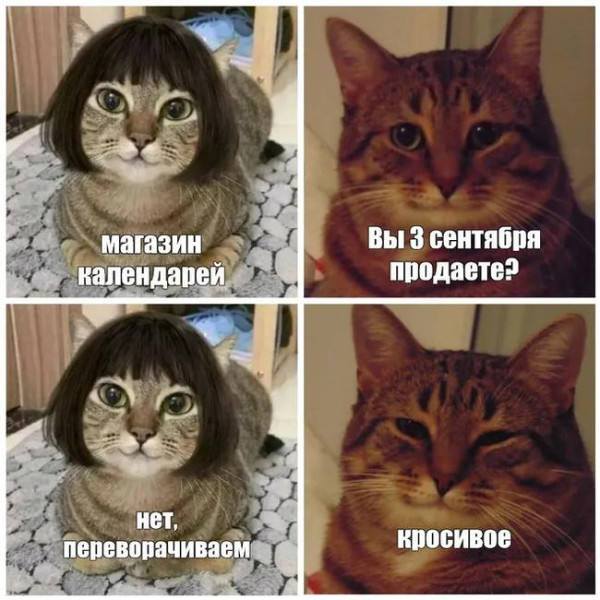 Мем, Антиклептократ