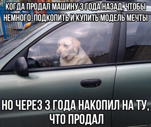 Мем: Приколы для настроения, iteam
