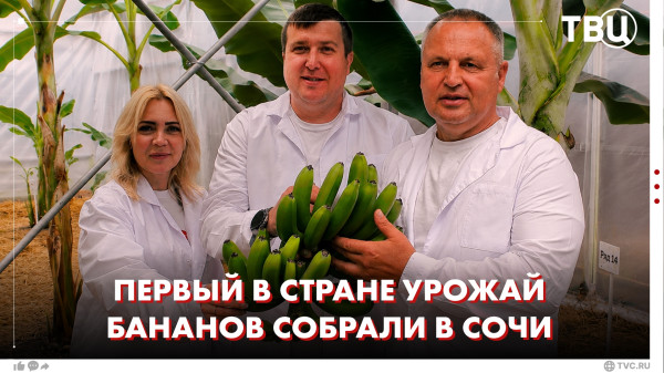 Мем, Алекс Гудков Мем, Алекс Гудков