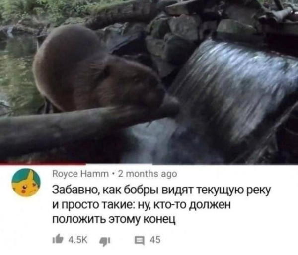 Мем, Bassplayer Мем, Bassplayer