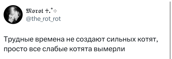 Мем, Bassplayer Мем, Bassplayer