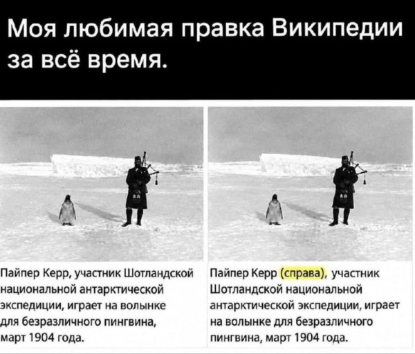 Мем, Максим Камерер Мем, Максим Камерер