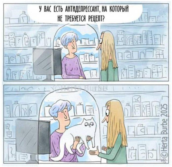 Мем, Антиклептократ Мем, Антиклептократ