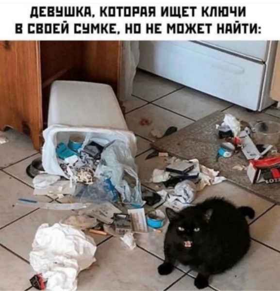 Мем, Антиклептократ Мем, Антиклептократ